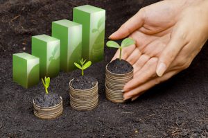 Keep the Cash Flowing: Creating Funding Sustainability for Your Nonprofit