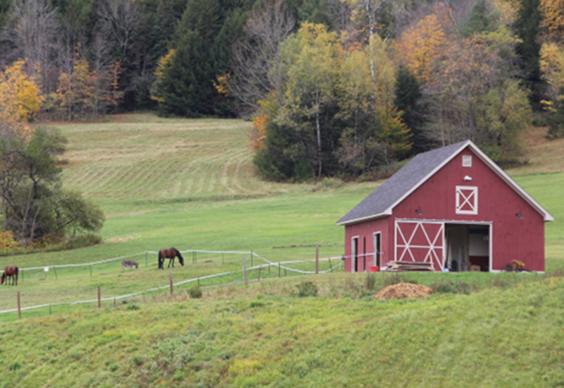 Texas Historical Commission Grant