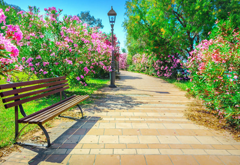 HOIHI Program for Native Hawaiin Organizations Grant