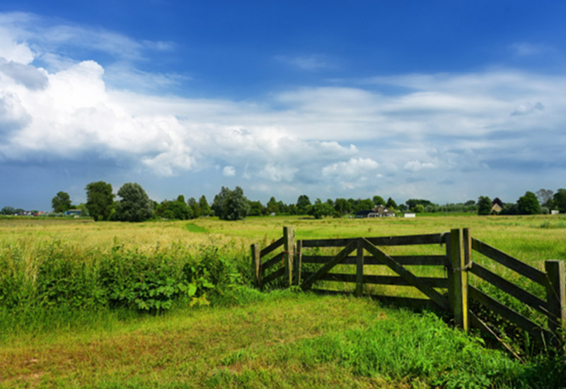 2027 Impact Grants Community Projects