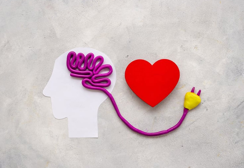 Adult Suicide Prevention Grant